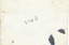 SECV Geelong Birney 14 Eastern Park - rear of print