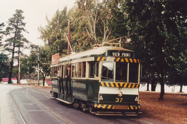 Postcard, SEC Ballarat tram 37
