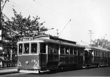 Photograph - Black & White Photograph/s, mid to late 1950's