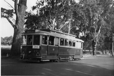Photograph - Black & White Photograph/s, mid to late 1950's