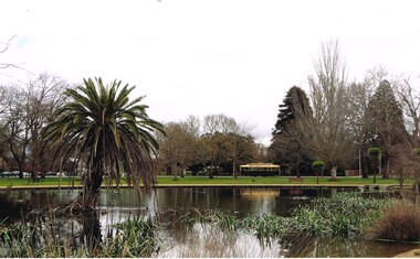 Photograph - Colour Print, Peter Bruce, 15/08/2015 12:00:00 AM