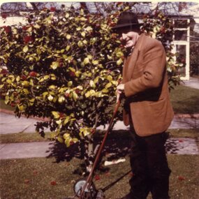 Photograph - Colour Print, Lilian Butler, Sep. 1971