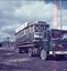 moving tram 31
