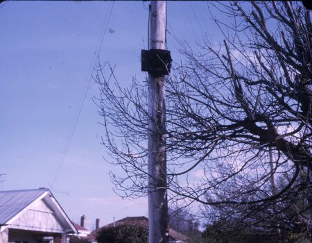 Forest City signal box on a pole