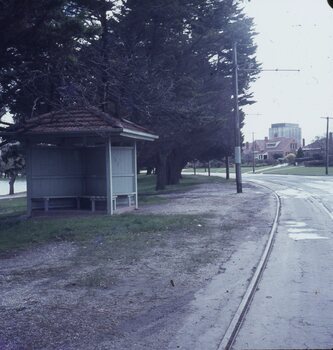 Wendouree Parade - general Scenes - 7