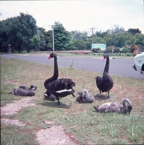 Slide - 35mm slide/s - set of 2, John Theodore, c1973