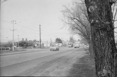 Negative - Set of 4, Campbell Duncan, 2/07/1971 12:00:00 AM