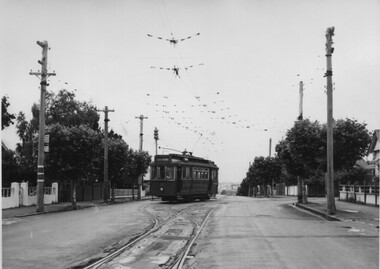 Photograph - Black & White Photograph/s, Charles Craig, mid 1950's
