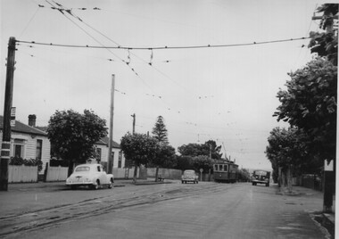 Photograph - Black & White Photograph/s, Charles Craig, mid 1950's