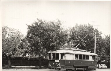 Photograph - Black & White Photograph/s, Charles Craig, late 1950's