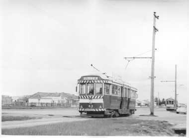 Photograph - Black & White Photograph/s, Charles Craig, early 1970's