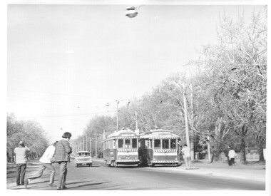 Photograph - Black & White Photograph/s, Charles Craig, 5/09/1971 12:00:00 AM