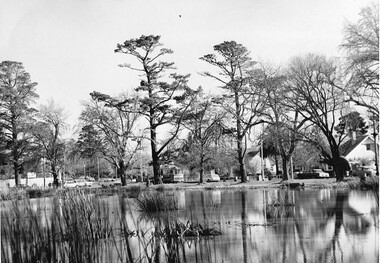 Photograph - Black & White Photograph/s  set of 2, Charles Craig, Aug. 1971