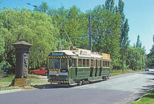 BTPS tram 40 making its first trip along Wendouree Parade