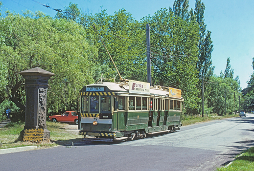 BTPS tram 40 making its first trip along Wendouree Parade