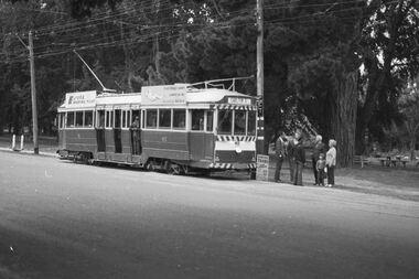 Negative, Bruce Herbert, "Bendigo and Ballarat Trams (AETA Convention) 30 Mar 1975", 30/03/1975 12:00:00 AM