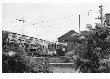 Photograph - Digital image, Chris Phillips, Sept. 1971