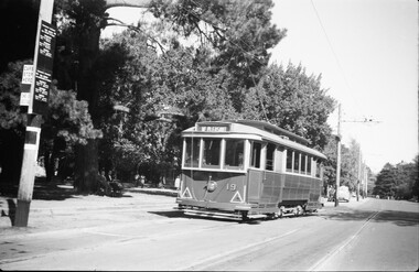 Photograph - Black & White Photograph/s, Negative, Ellis Collection, c1950