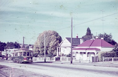 A green and cream vintage tram with open windows travels down a paved street, passing houses with white picket fences and a large tree.