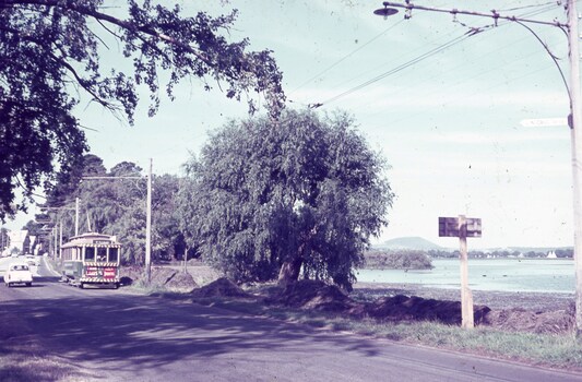 Vintage tramcar with advertising on its side travels down a tree-lined road next to a body of water.