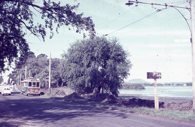 Vintage tramcar with advertising on its side travels down a tree-lined road next to a body of water.