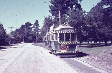 A green and white vintage tram with a destination sign is moving along tracks next to a paved road lined with trees.