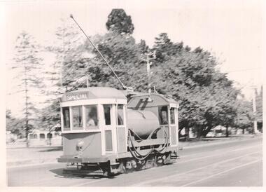 Photograph - Black & White Photograph/s, Geoff Grant, 1954
