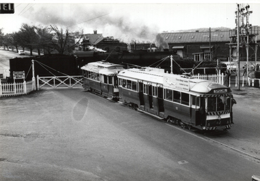 Tram tour - TMSV & ARHS 
