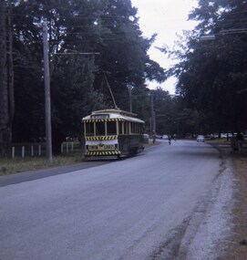 Tram  No. 11 northbound in Wendouree Parade in the North Gardens.
