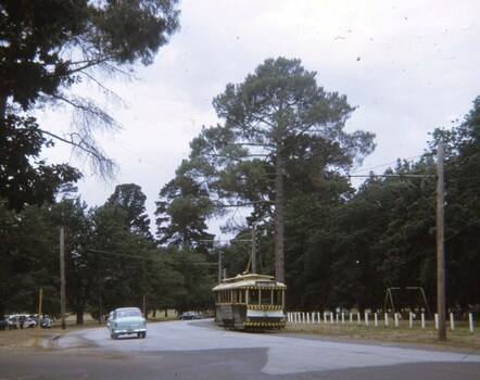 tram 14 northbound in Wendouree Parade after leaving Gardens Loop