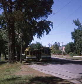 Trams 28 and 32 crossing at the Carlton St loop.