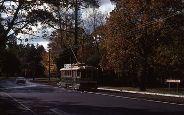 BTPS tram No. 14, south bound in Wendouree Parade