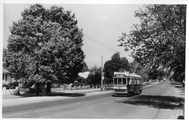 Photograph - Black & White Photograph/s, Len Millar, Oct. 1970
