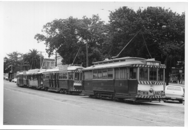 Black and White - four trams in the City Loop