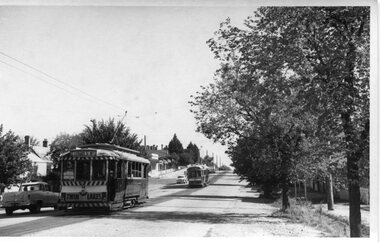 Black and White - Lydiard St North - trams 14 & 43