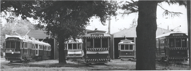 Line up of Museum trams