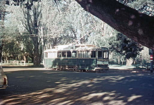Tram 32 Gardens Loop, Wendouree Parade