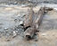 Bridge St Mall reconstruction rail - photo by Thornbob46@gmail.com