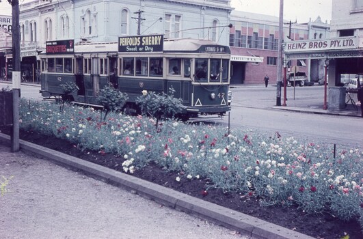 Tram 42 crossing Doveton St