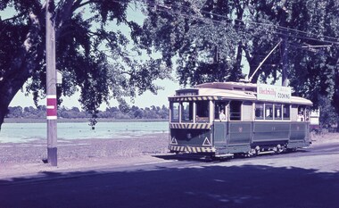 Tram 14 Wendouree Parade
