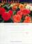 "Ballarat the Begonia City"