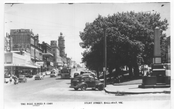 Rose postcard - Sturt St Ballarat