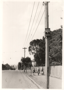 Geelong Forest City signal lights