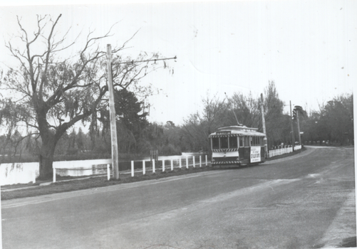 Wendouree Parade - tram 18?