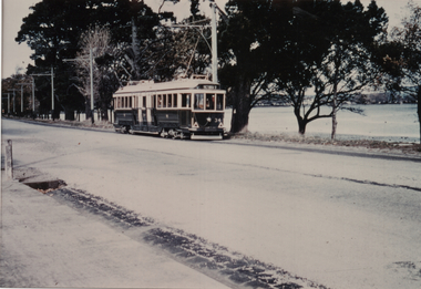 Tram 34 Wendouree Parade