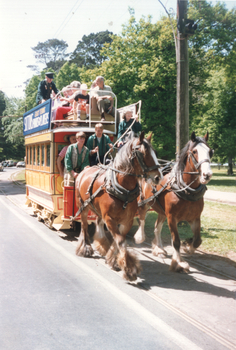  Ballarat Horse tram 1 - Wendouree Parade