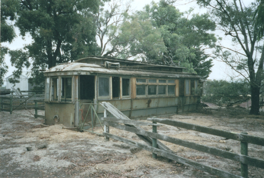 Geelong 17 at a farm