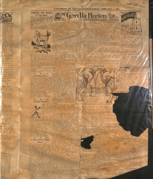 Sunbeams "Fashion Plate Fanny" - rear 2