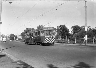 Geelong tram at Balliang St loop in Moorabool St