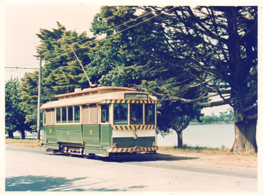 Tram 13 Wendouree Parade